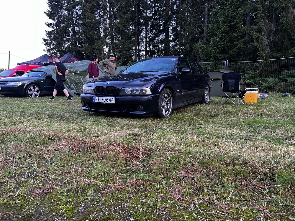 Image uploaded by Steffen