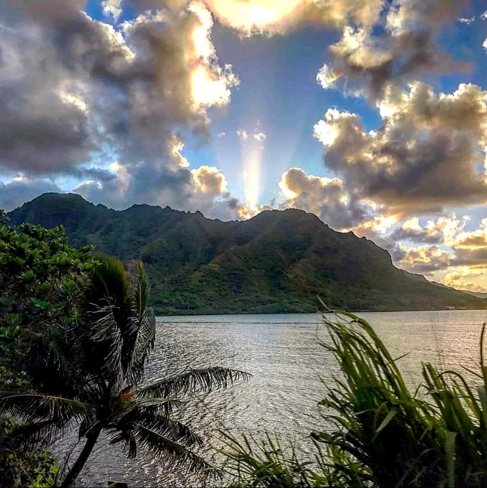 GIF uploaded by Garrett