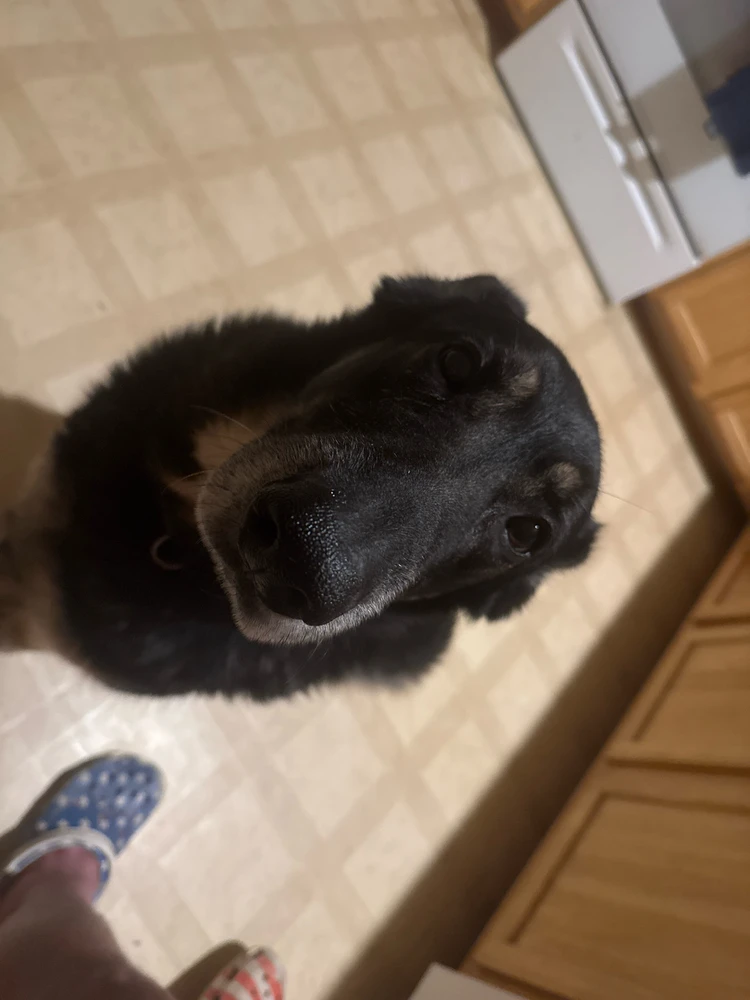 GIF uploaded by OmenJ