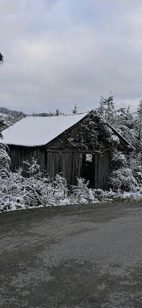 Image uploaded by Tracie