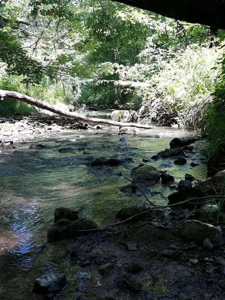 Image uploaded by Tracie