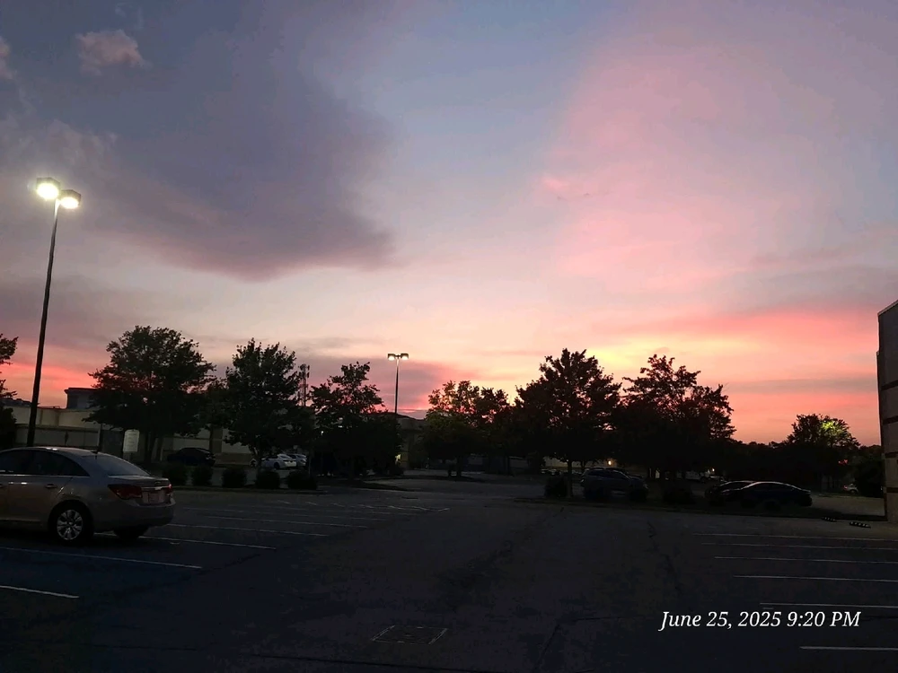 Image uploaded by Tracie