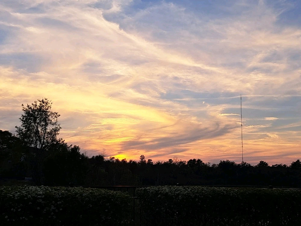 Image uploaded by Tracie