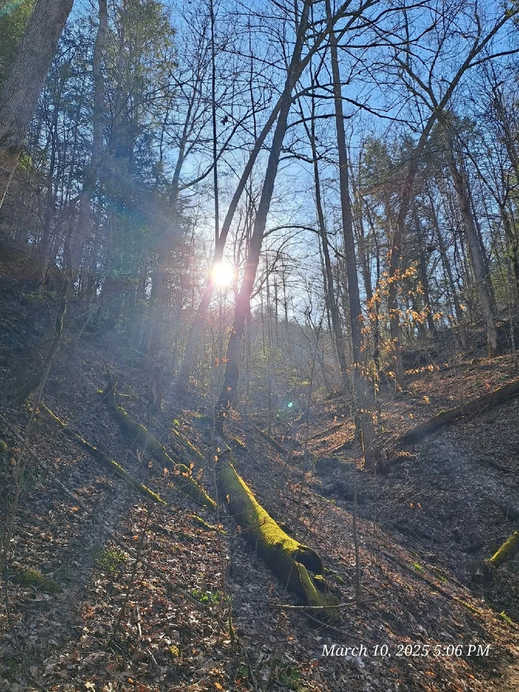 Image uploaded by Tracie