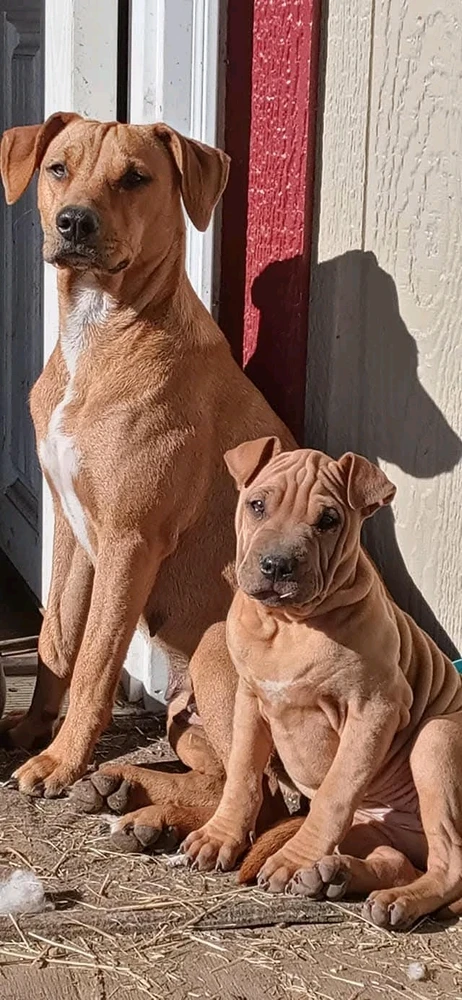 Image uploaded by Tracie