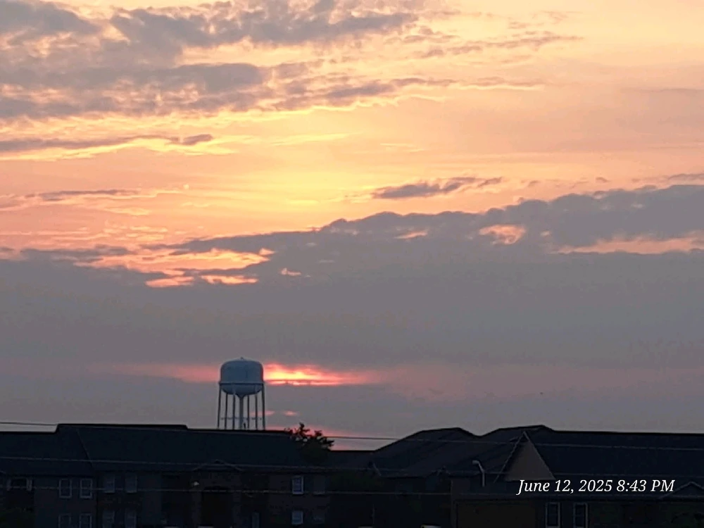 Image uploaded by Tracie