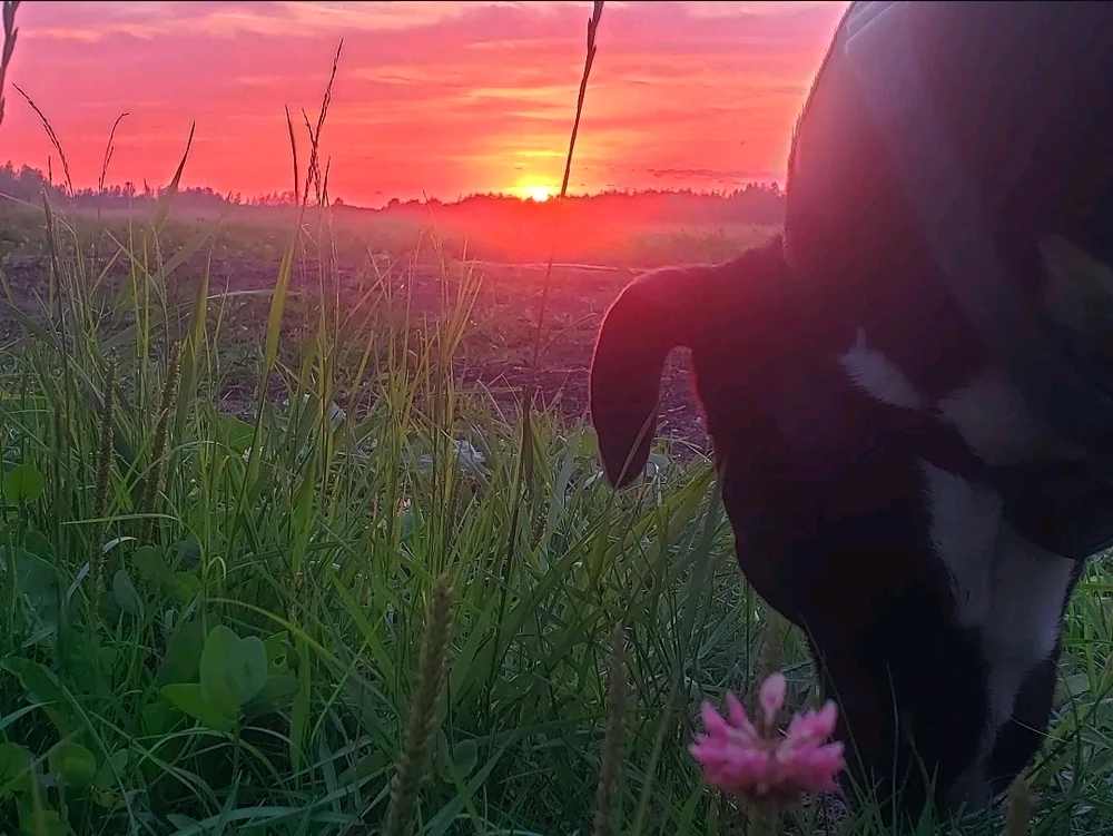 GIF uploaded by Garrett