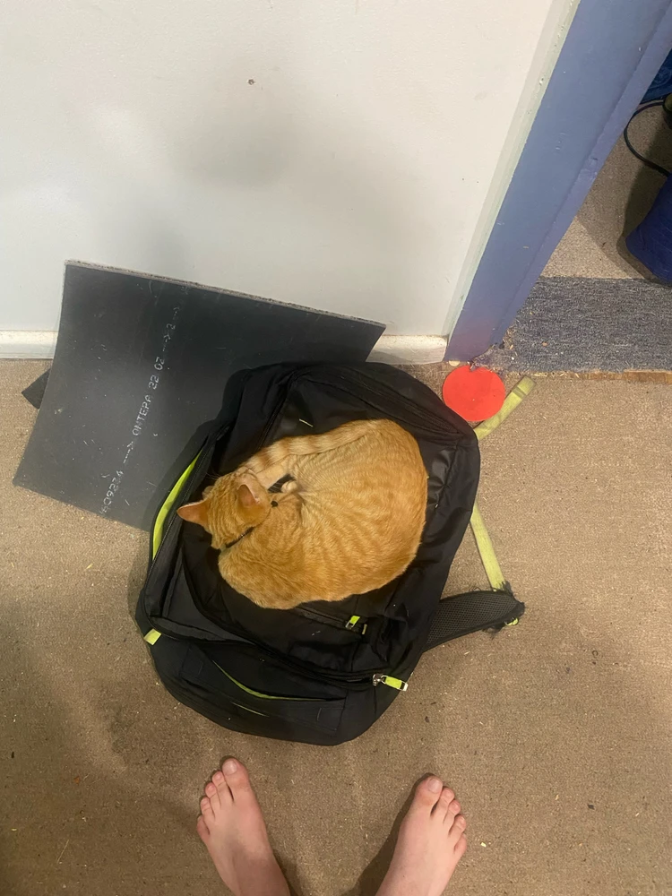 GIF uploaded by Barry