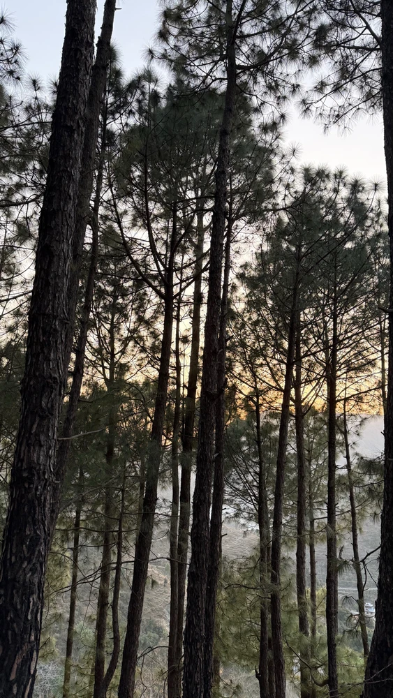 GIF uploaded by Kshitij