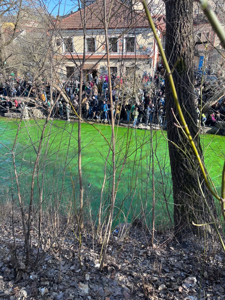 GIF uploaded by Cornelis