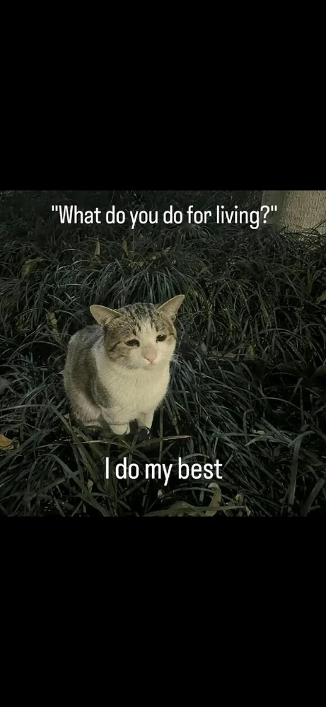 GIF uploaded by Elegy