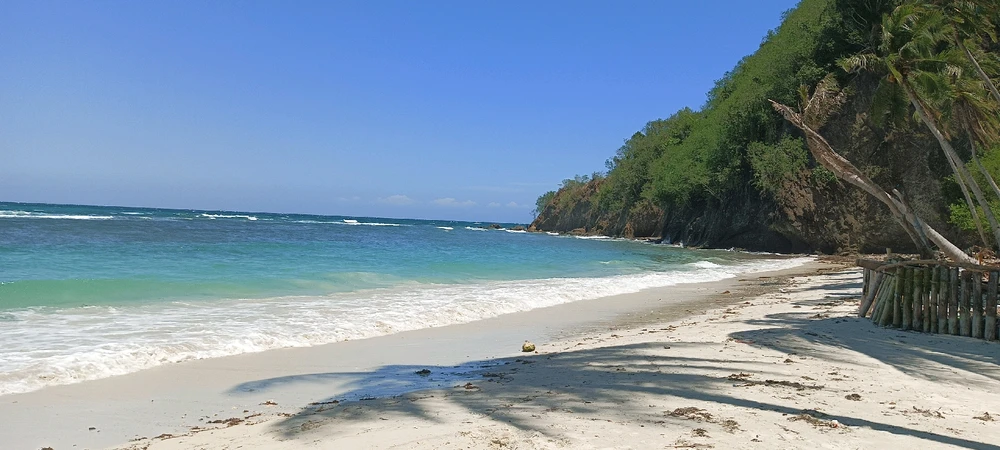 Image uploaded by Rose Mary