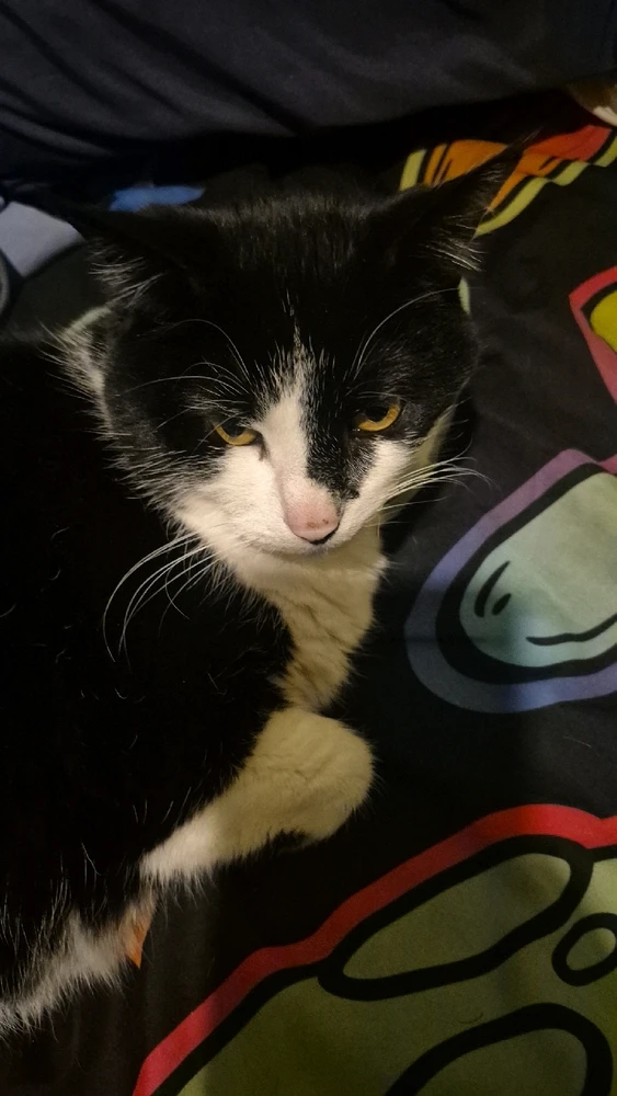 GIF uploaded by Keegan