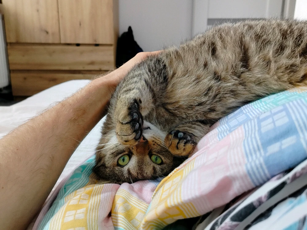 GIF dodany przez Artur