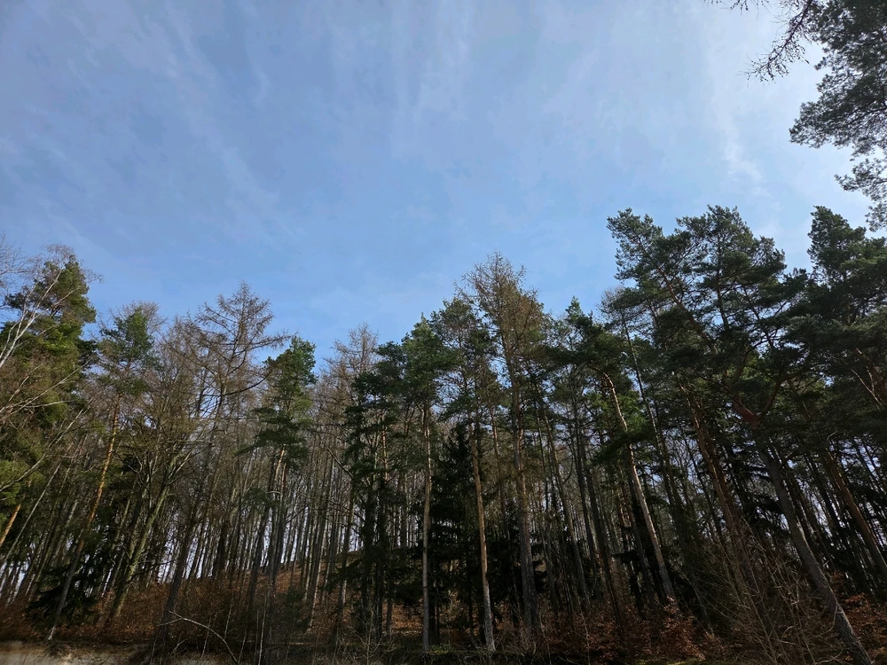 Obrázek nahrál Peťule