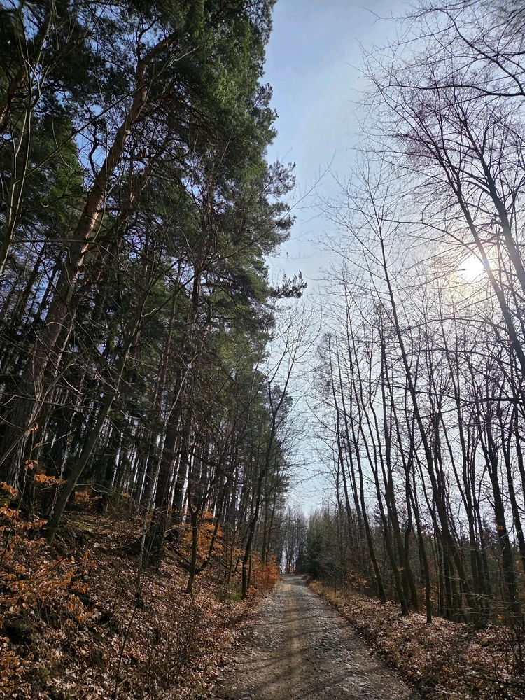 Obrázek nahrál Peťule