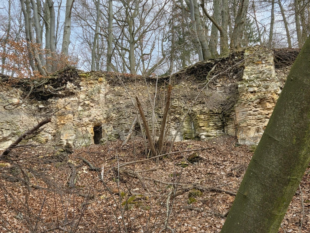 Obrázek nahrál Peťule