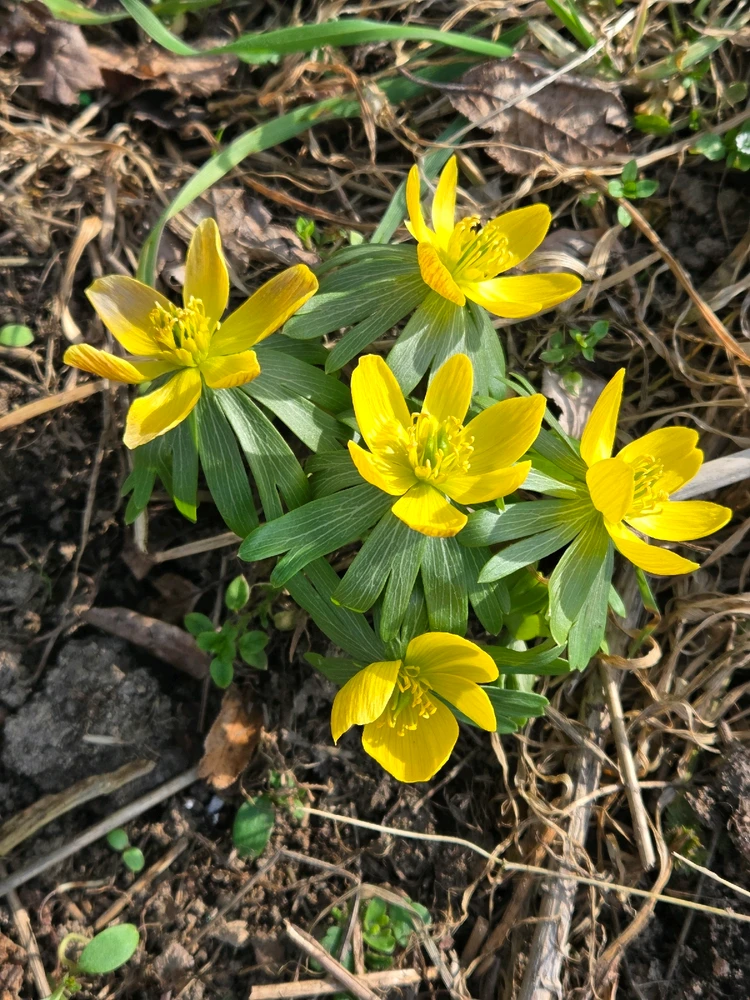 Obrázek nahrál Peťule