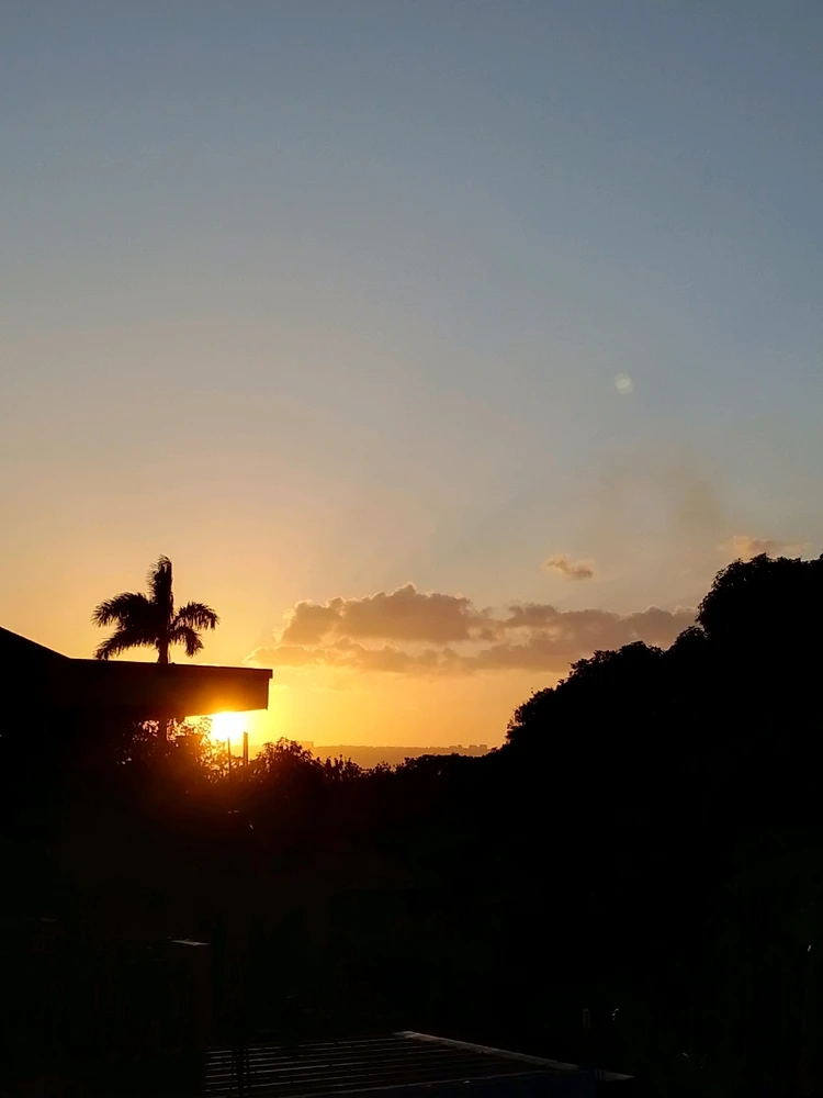 Image uploaded by Zellien