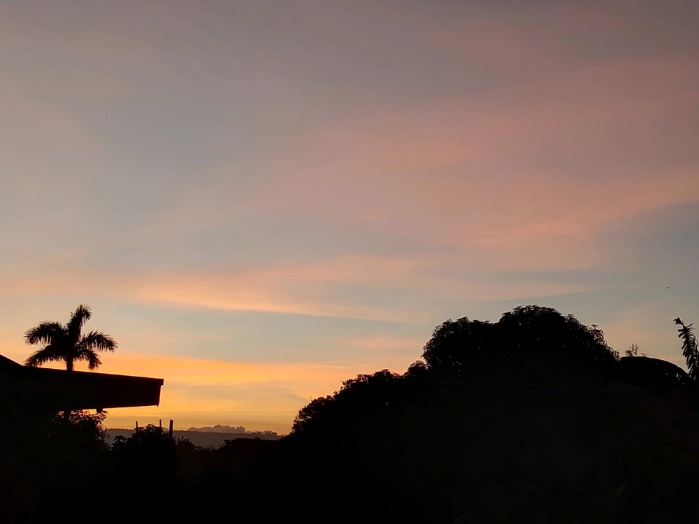 Image uploaded by Zellien