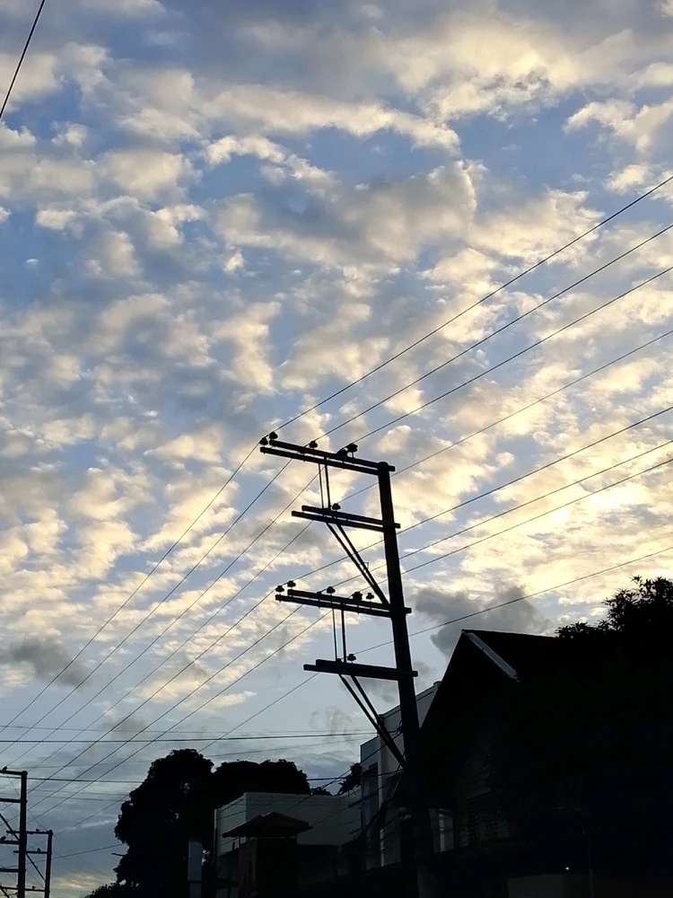 Image uploaded by Zellien