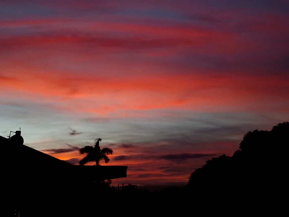 Image uploaded by Zellien