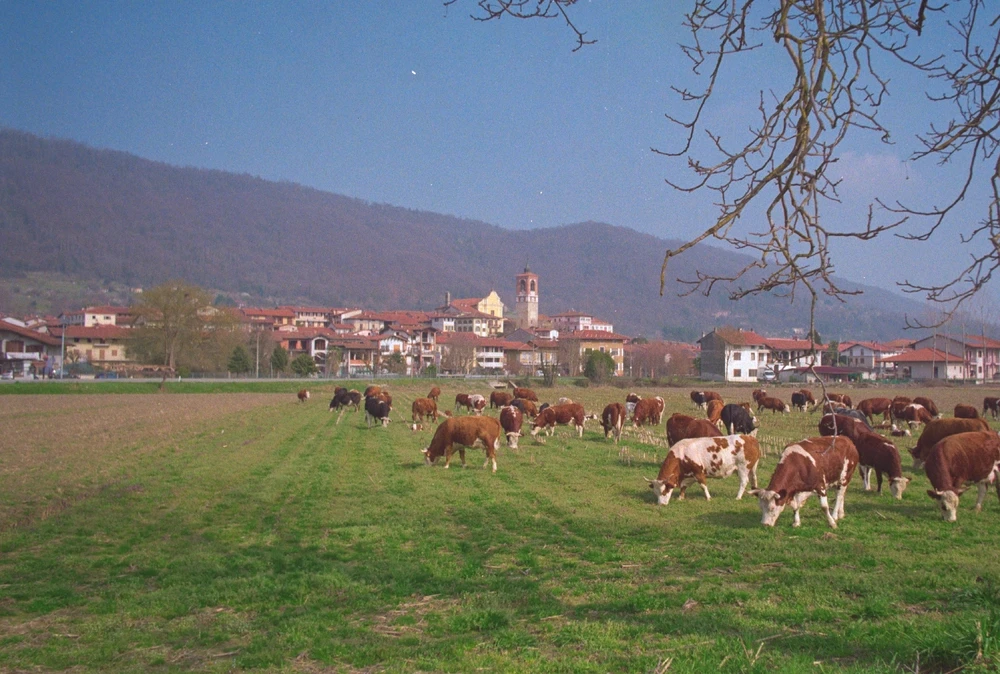 Immagine caricata da Giulio