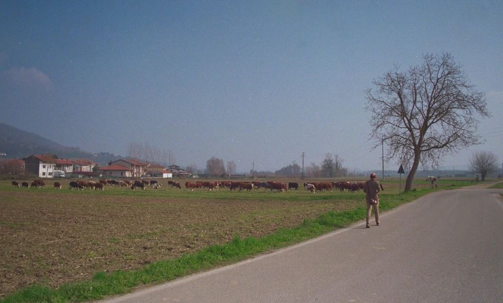 Immagine caricata da Giulio