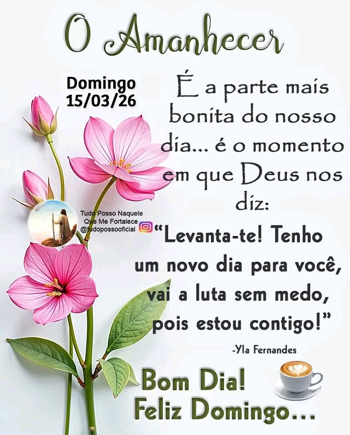 Imagem enviada por Robson