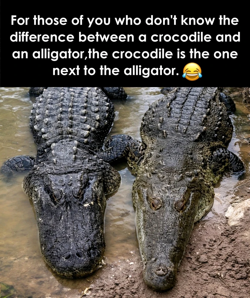 GIF uploaded by Andy