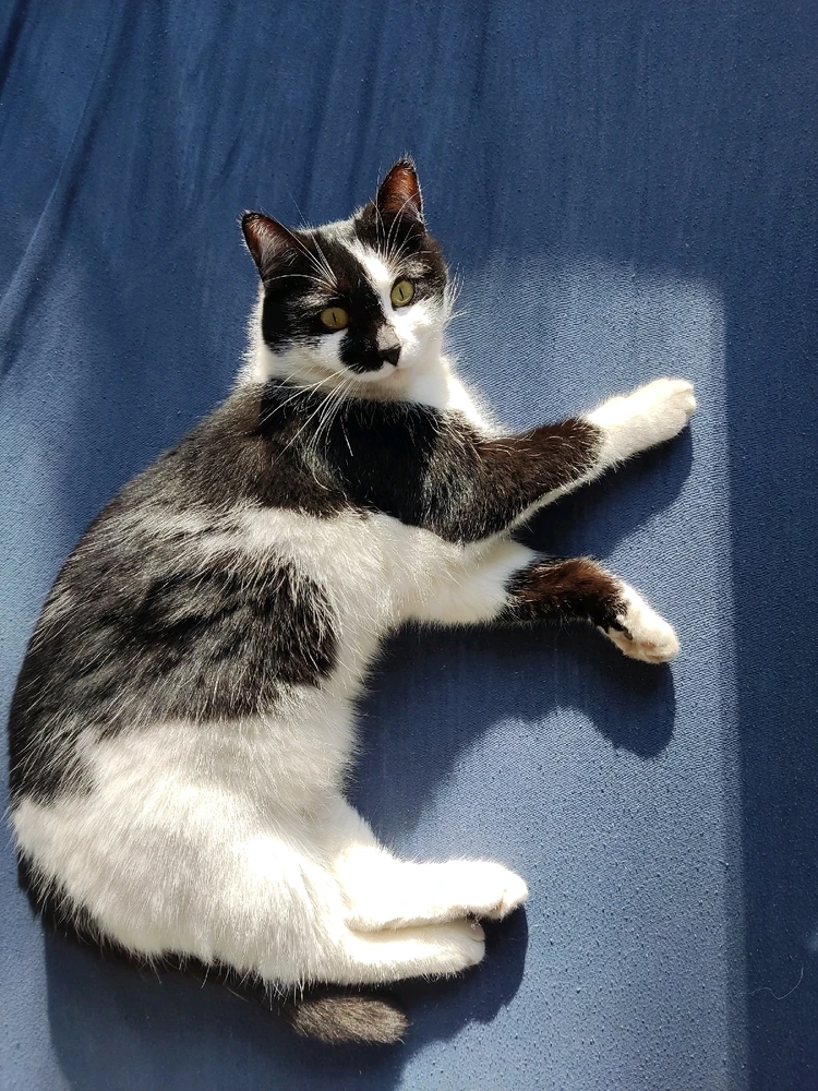 GIF dodany przez Monika