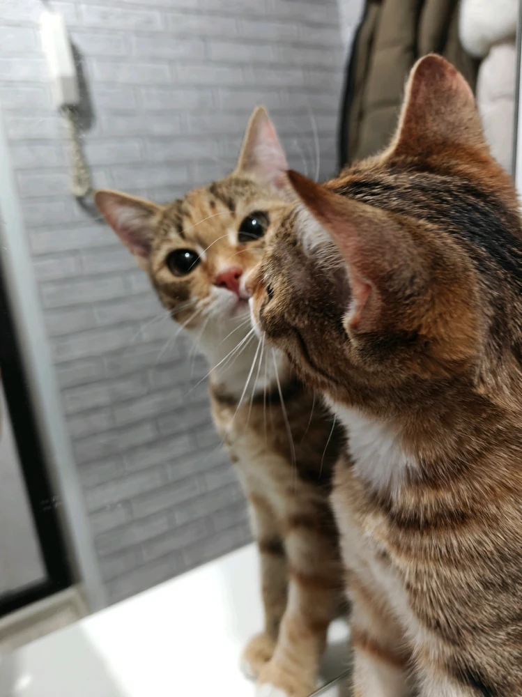 GIF uploaded by Marina