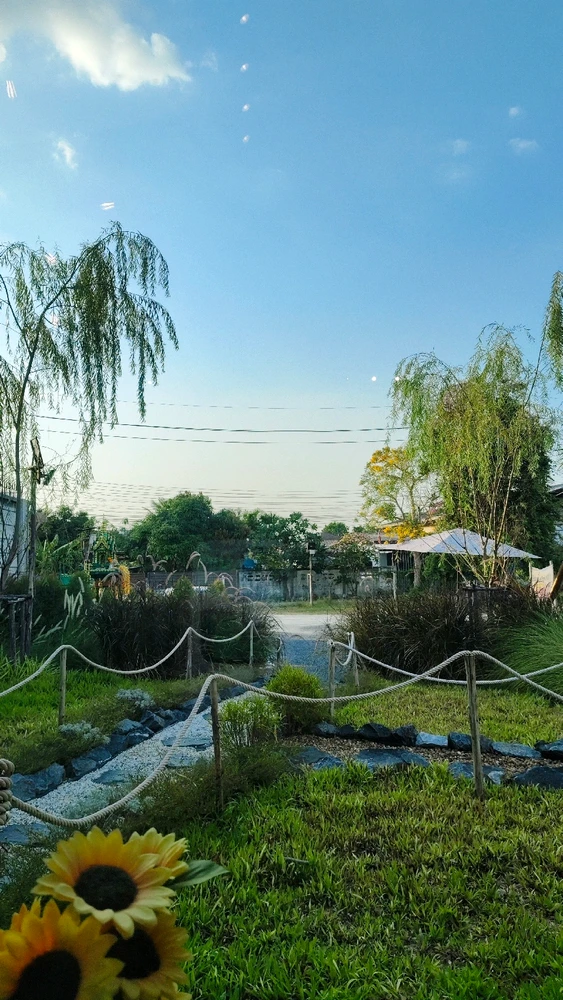 รูปที่อัพโหลดโดย Fon