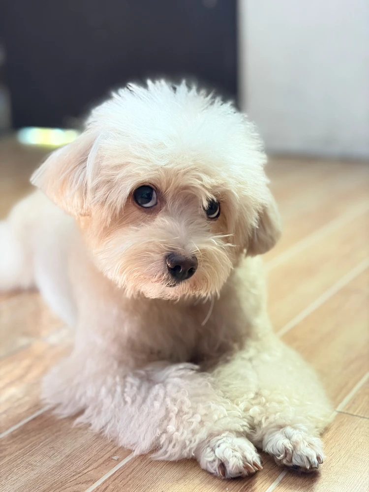 GIF uploaded by Pola