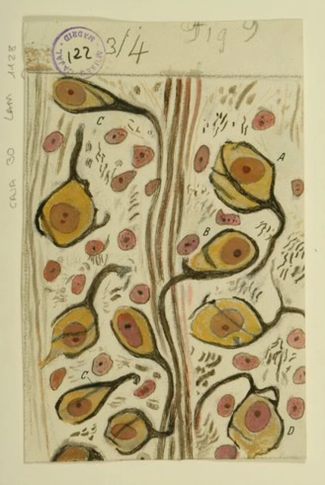 Image uploaded by Michalis