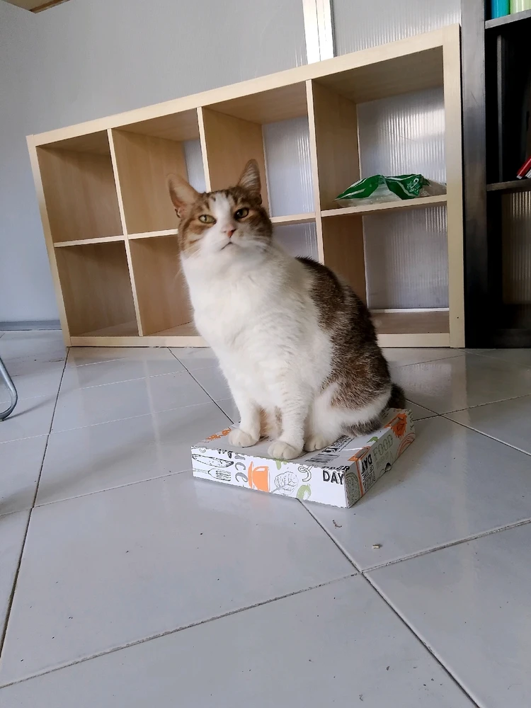 GIF uploaded by Mr Nice