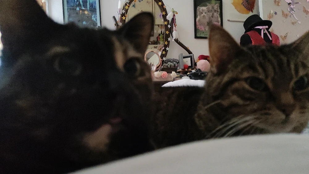 GIF uploaded by Nathalie