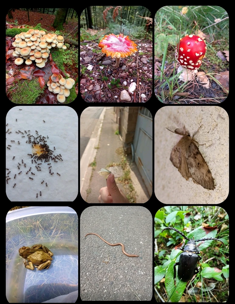 GIF ajouté par Angélique