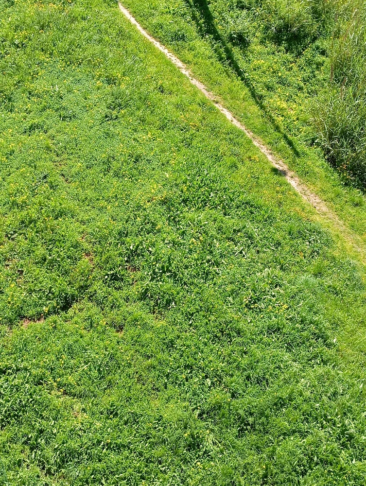 GIF uploaded by Alexandre