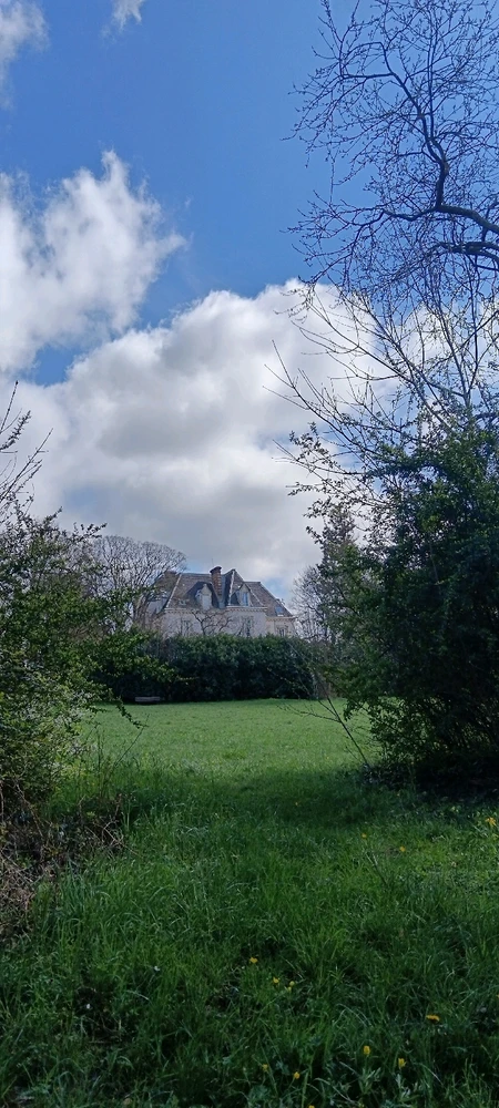 Image ajoutée par Saffiya