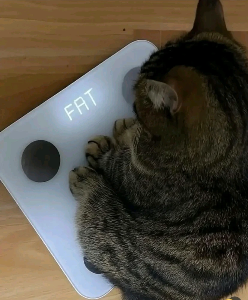 GIF uploaded by kris