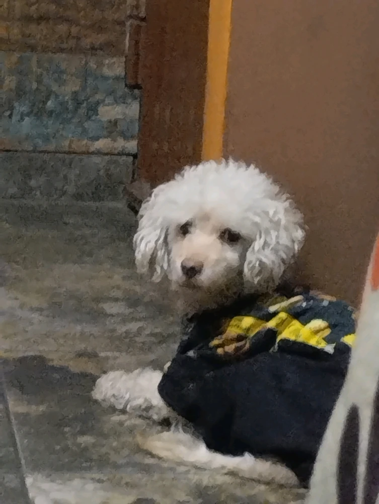 Imagen subida por Anderson