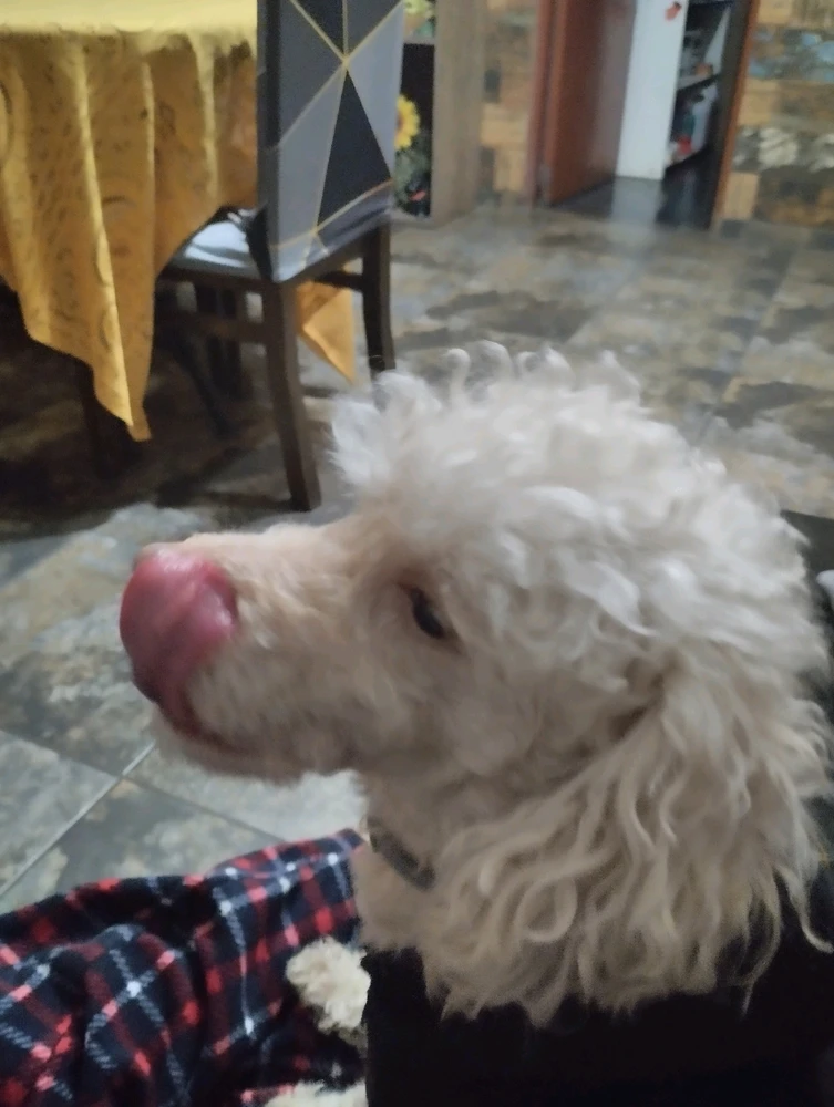 Imagen subida por Anderson