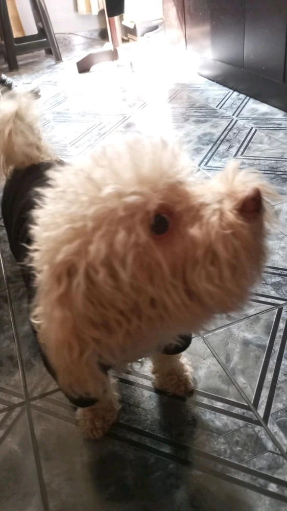 Imagen subida por Anderson