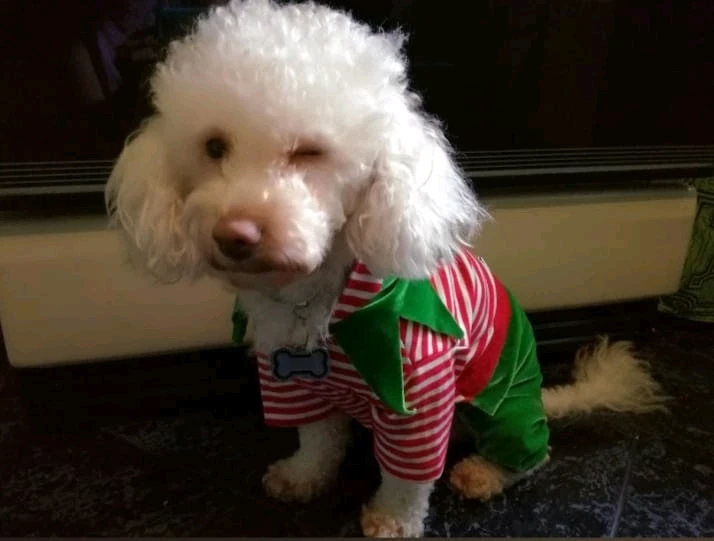 Imagen subida por Anderson