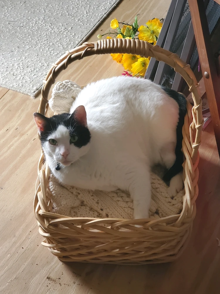 GIF uploaded by Bethany