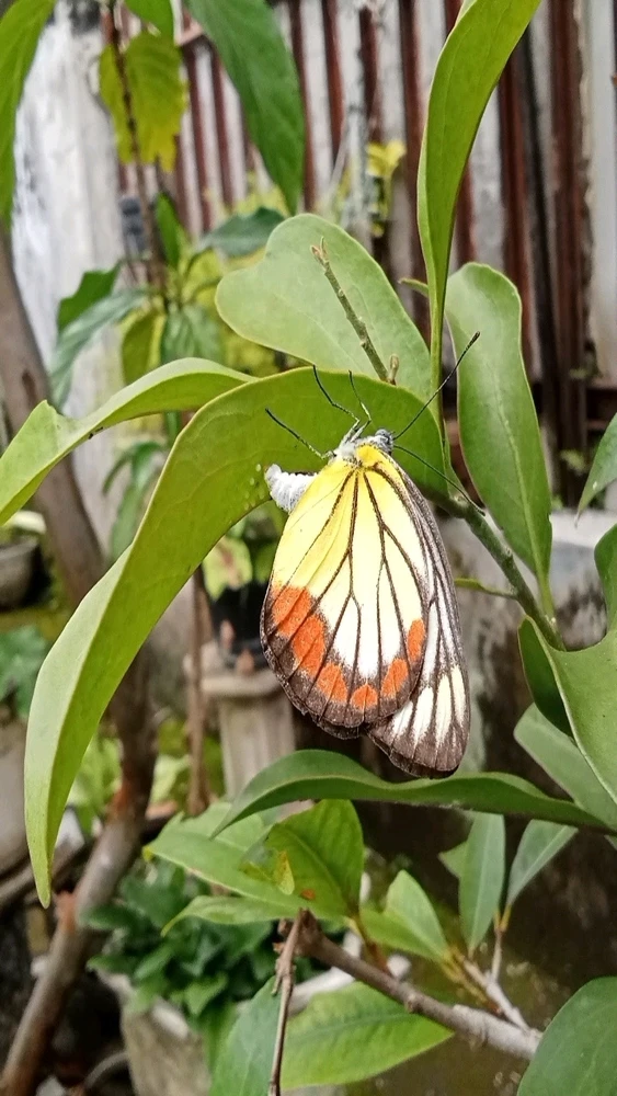 GIF uploaded by Golia