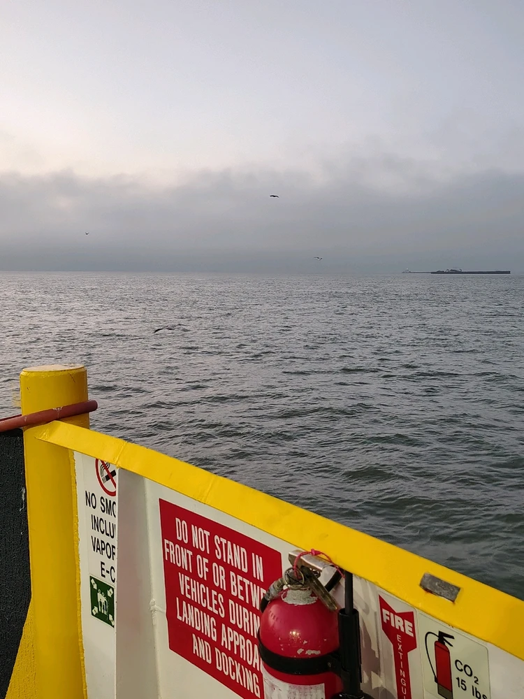 Image uploaded by Jerry