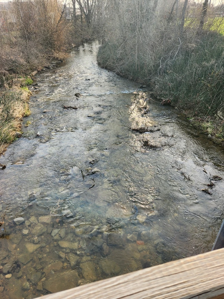 Image uploaded by Brandon