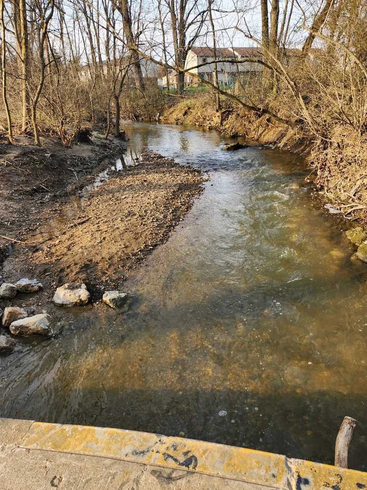 Image uploaded by Brandon